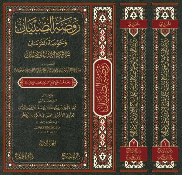 روضة الصبيان وحوضة الفرسان إعراب شرح زيني دحلان على الآجرومية - Image 2